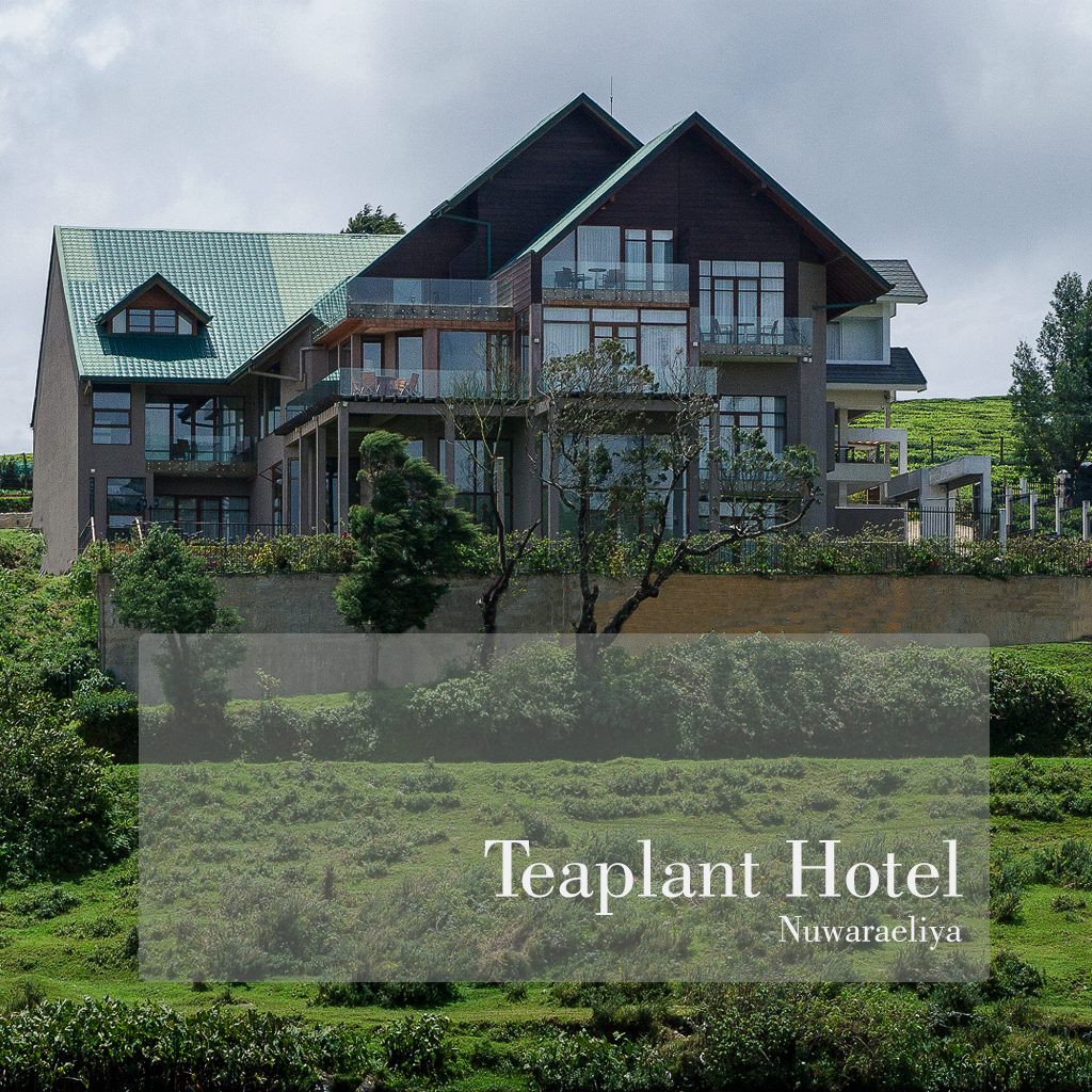 Website Design for The Teaplant Hotel